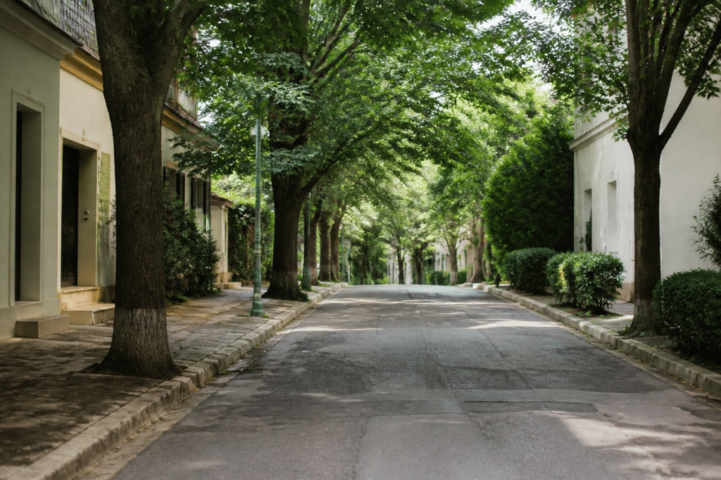 Maisons avec arbres bordant rue calme et paisible